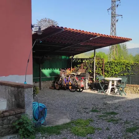 - La Tana Gallicano